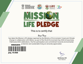 Mission LiFE Pledge